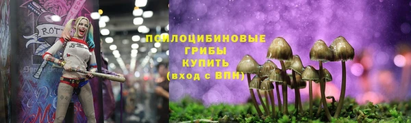 таблы Армянск