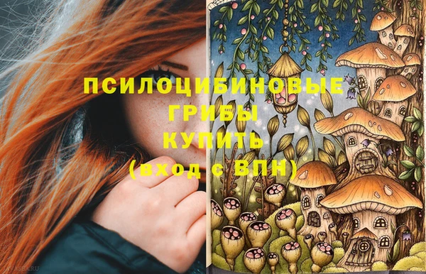 таблы Армянск
